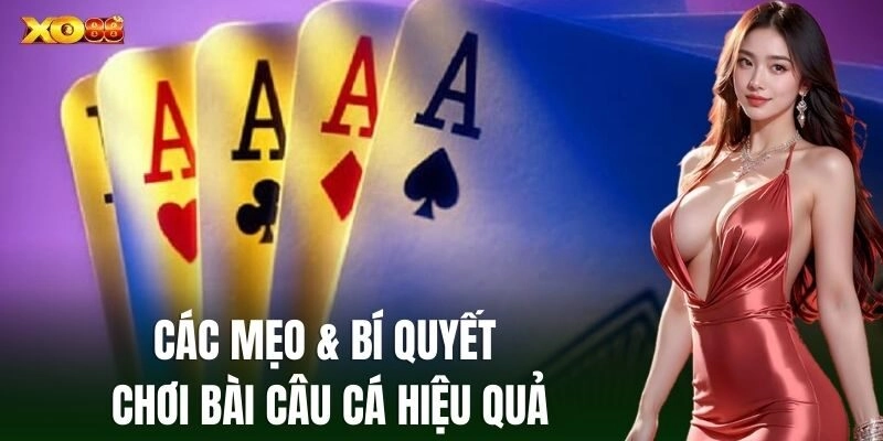 Các mẹo & bí quyết chơi Bài Câu Cá hiệu quả