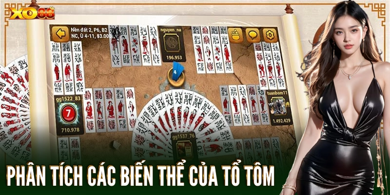 Phân tích các biến thể của tổ tôm