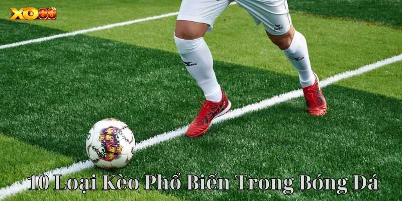 10 Loại Kèo Phổ Biến Trong Bóng Đá là gì? 