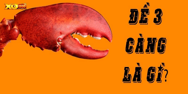 3 Càng Là Gì – Bí Quyết Từ Cao Thủ Chinh Phục Lô Đề Cao Cấp