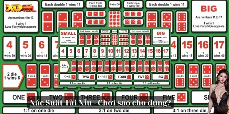 Xác Suất Tài Xỉu Là Gì?