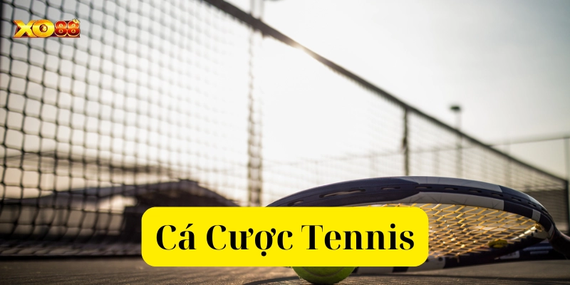 Bí quyết Cá Cược Tennis