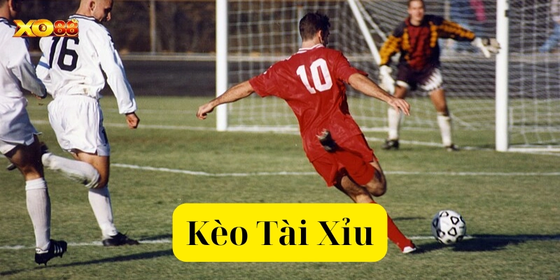 Cách đọc Kèo Tài XỈu có dễ không?