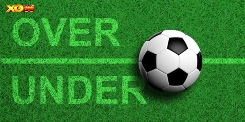 Việc hiểu rõ ràng về tỷ lệ kèo là điều cần thiết