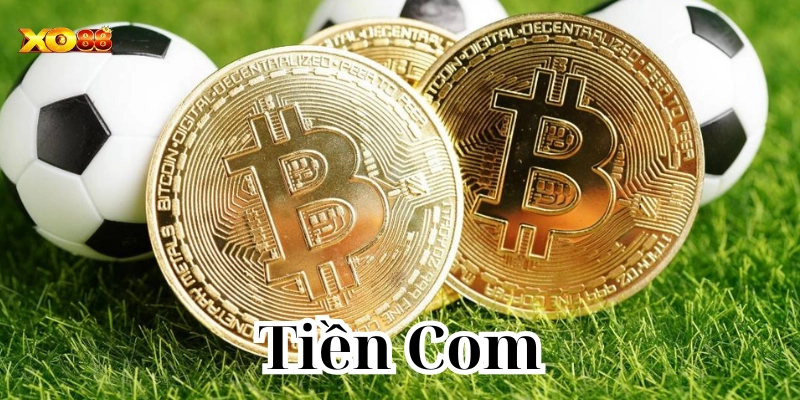 Cách cược an toàn