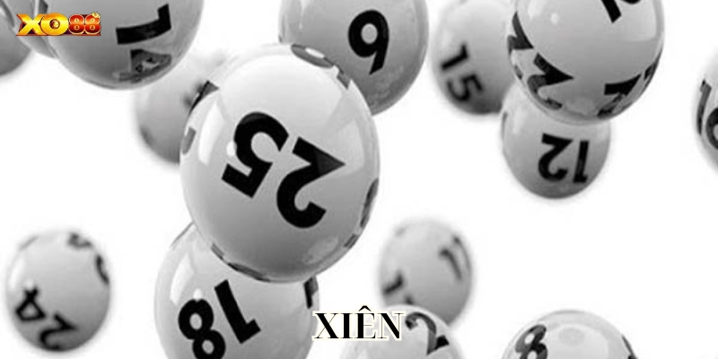 Đánh Xiên Thế Nào Để Luôn Có Lãi? Kinh Nghiệm Xương Máu!