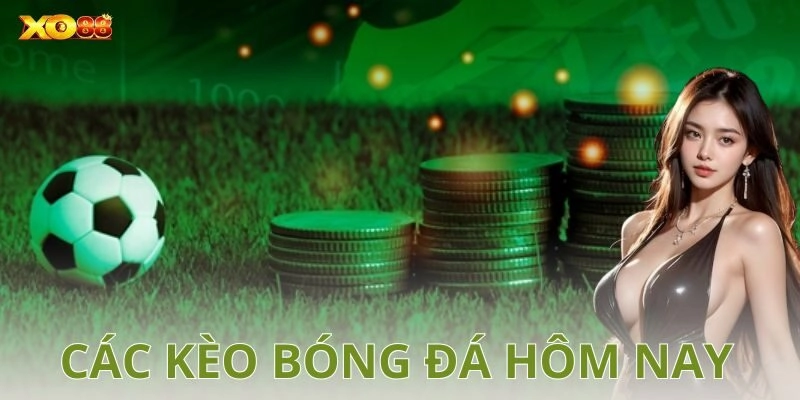 Các trận đấu hấp dẫn hôm nay