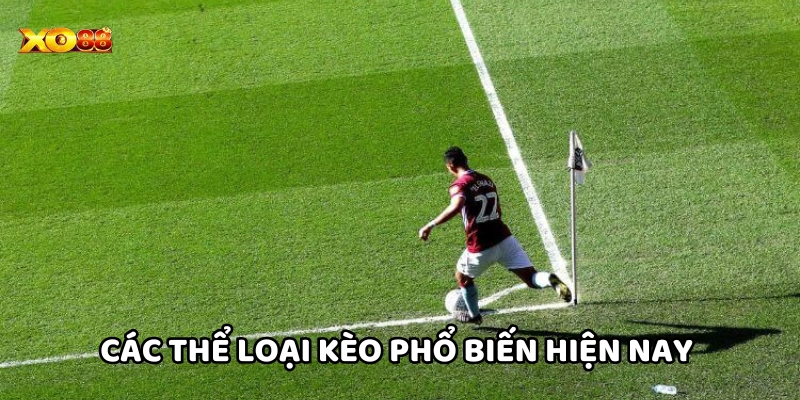 Kèo Phạt Góc Là Gì? Thủ Thuật Soi Kèo Chinh Phục Mọi Trận Đấu