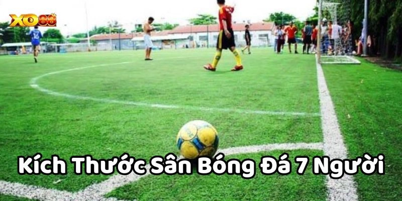 Kích Thước Sân Bóng Đá 7 Người là gì? 