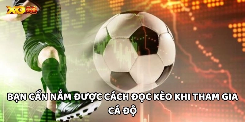 Bạn cần nắm được cách đọc kèo khi tham gia cá độ