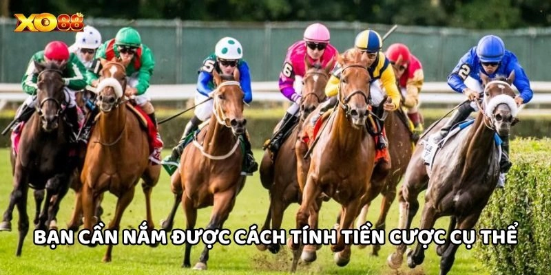 Cá Cược Đua Ngựa