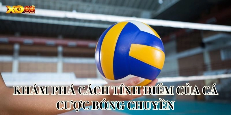 Cá Cược Bóng Chuyền