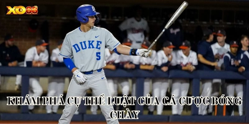 Khám phá cụ thể luật của Cá Cược Bóng Chày