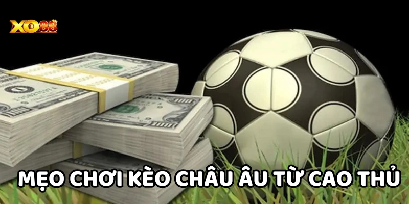 Mẹo chơi Kèo Châu Âu từ cao thủ