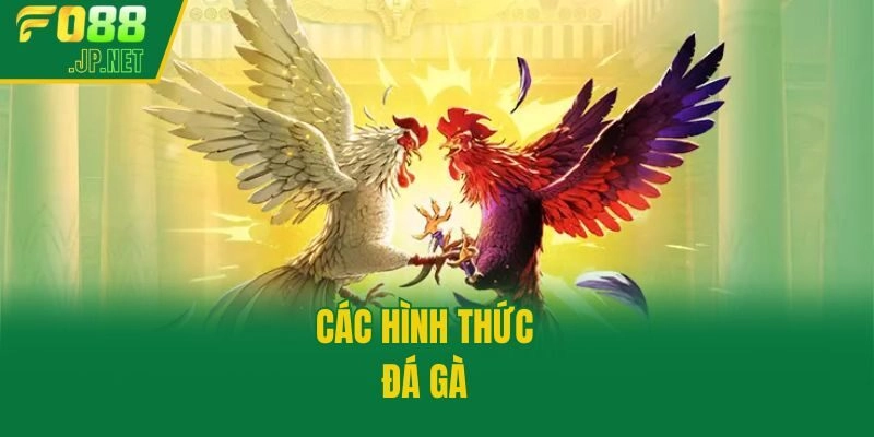 Các hình thức đá gà 