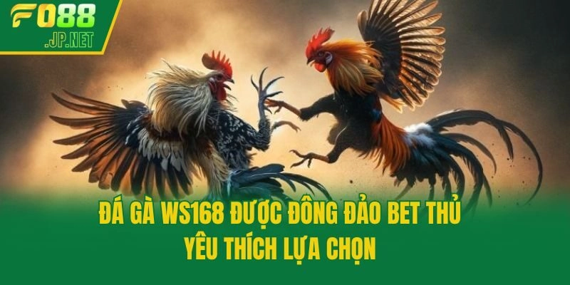 Đá gà WS168 được đông đảo bet thủ yêu thích lựa chọn
